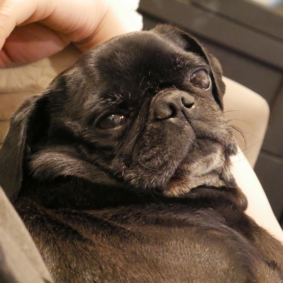 Meet your Posher, Michael - Picture 1 of 1